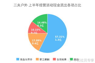中巴價投研習社發布三夫戶外（SZ002780）半年報畫冊，33張圖表深度解析年度報表